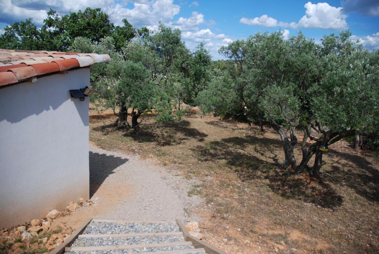 Villa Otilia-Bed And Breakfast-Chambres D'Hotes En Provence Rians  Zewnętrze zdjęcie